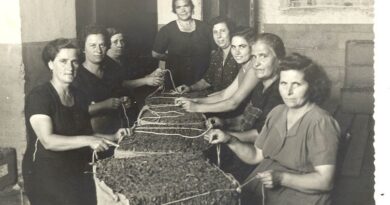 Tabacchine del Salento, proseguono il loro incessante lavoro.