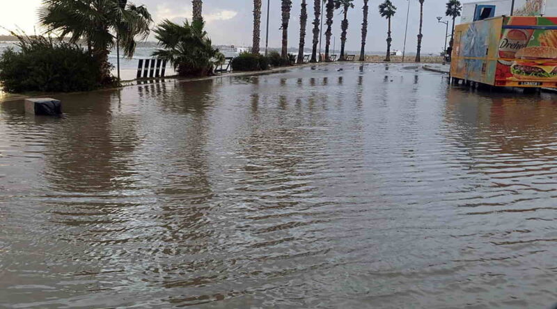 Apocalisse Cesarina, novembre 2019