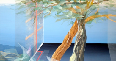 Mimmo Anteri, le sue opere.