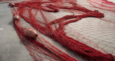 Reti da pesca tinte con la "tenta".