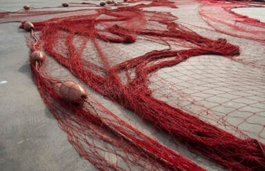 Reti da pesca tinte con la "tenta".