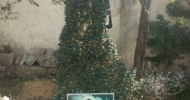 In alto nella foto possiamo riconoscere un'ampia sirena tra gli alberi, più in basso l'opera "Rosa nera" nel giardino di Tony a Boncore.