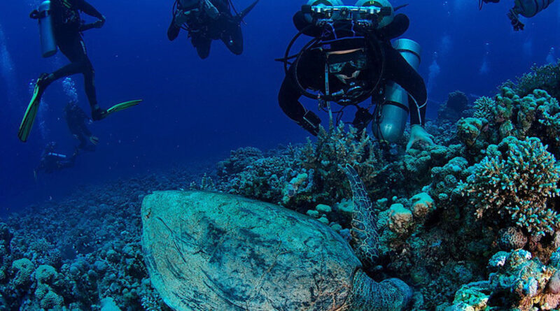 Tesori subacquei a Porto Cesareo