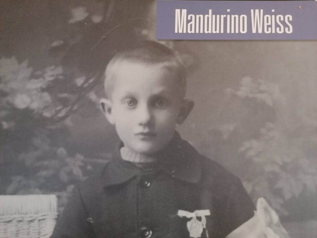 Weiss e Dinoi