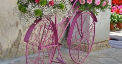 Leverano in Fiore 2021.