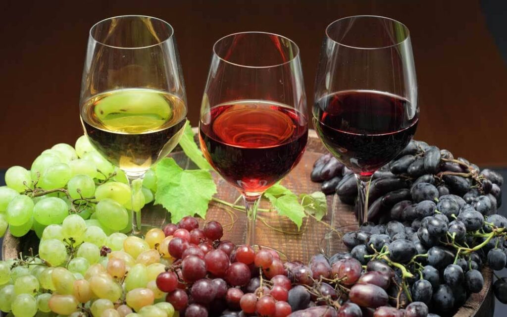 Vinoway wine Selection 2022.