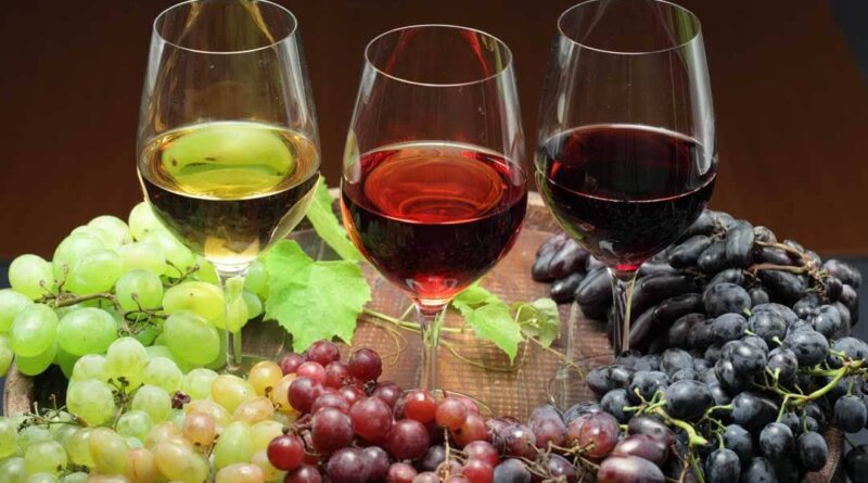 Vinoway wine Selection 2022.