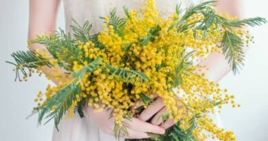 Giornata Internazionale della Donna 2023