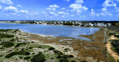 Safari fotografico presso La Strea