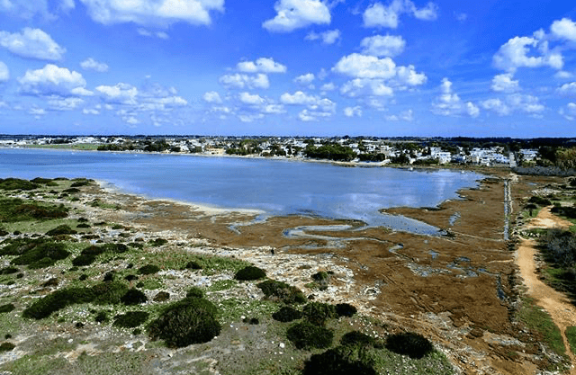 Safari fotografico presso La Strea