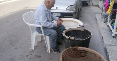 Barche a remi a Porto Cesareo