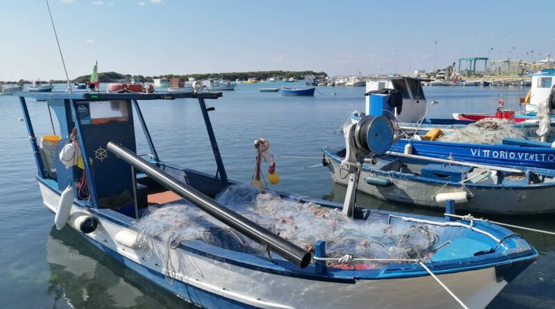 La pesca dei pupiddrhi a Porto Cesareo