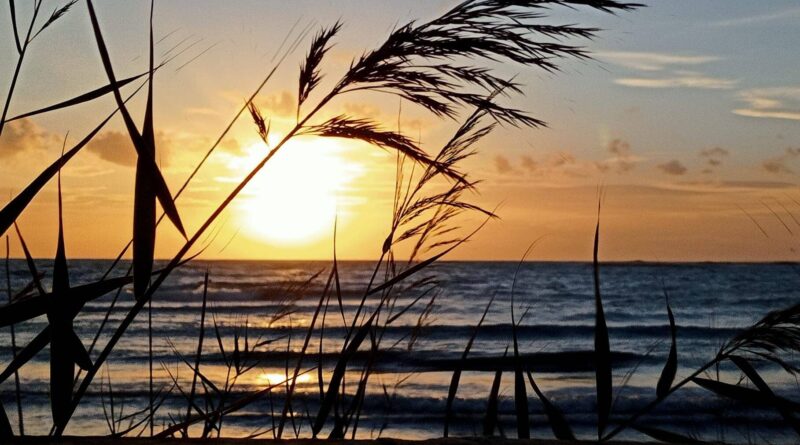 Certificazione europea turismo sostenibile a Porto Cesareo