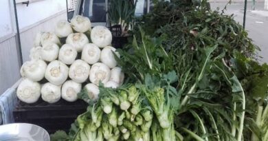 Spunzale salentino (scalogno)