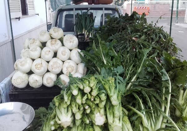 Spunzale salentino (scalogno)