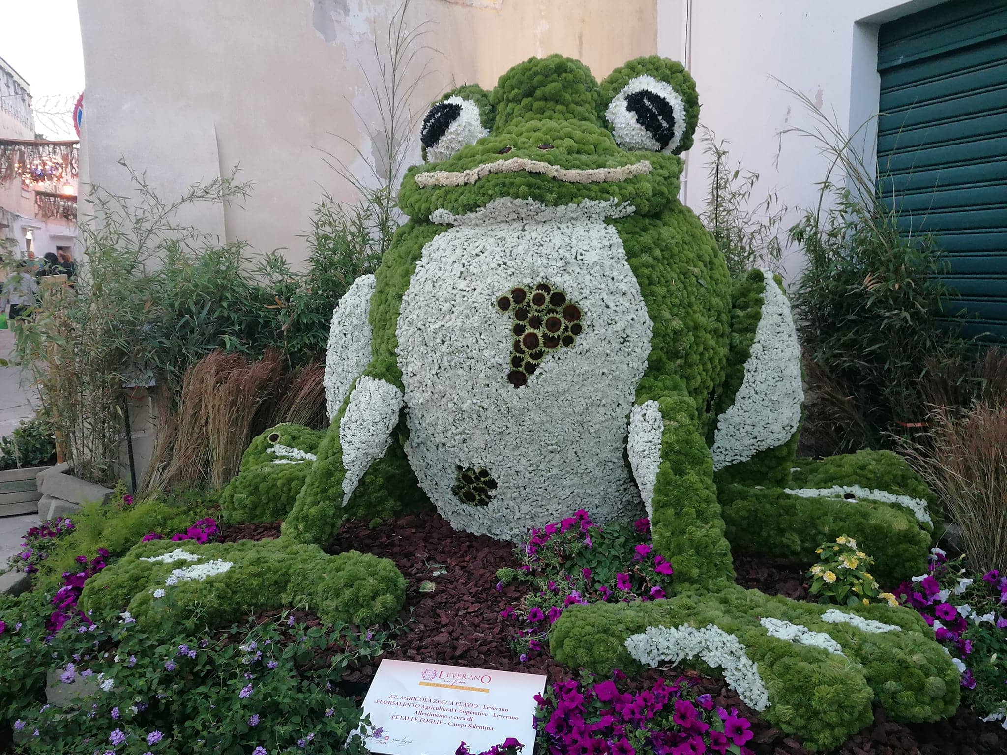 Leverano in Fiore 2026: il Salento delle “Connessioni” tra terra, arte floreale internazionale e spettacolo