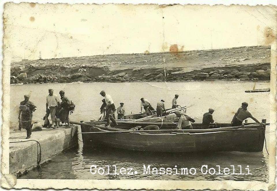 Le reti della tonnara