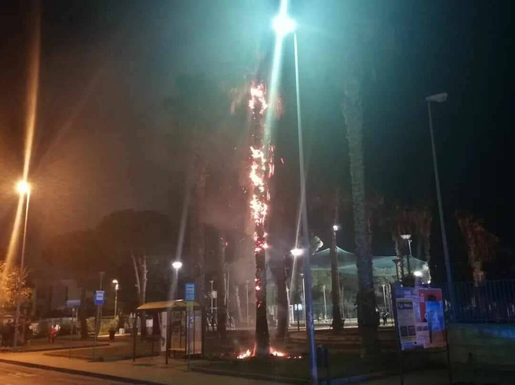 Palma a fuoco a Porto Cesareo