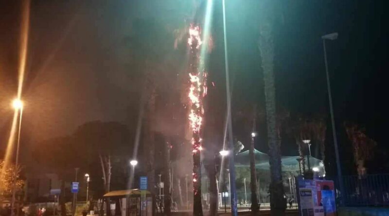 Palma a fuoco a Porto Cesareo