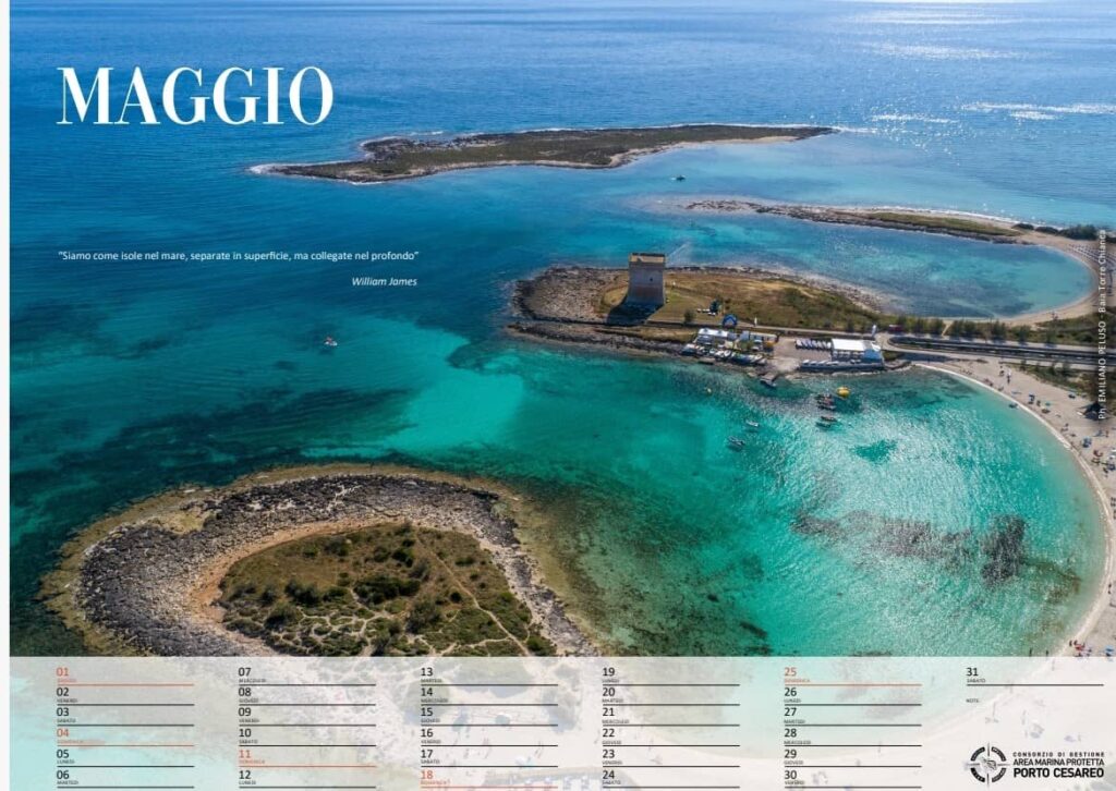 Calendario 2025 Area Marina Protetta di Porto Cesareo