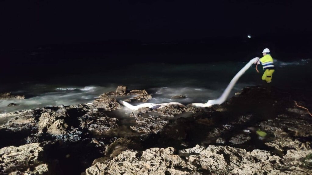 Bidone di olio e petrolio sugli scogli a Porto Cesareo