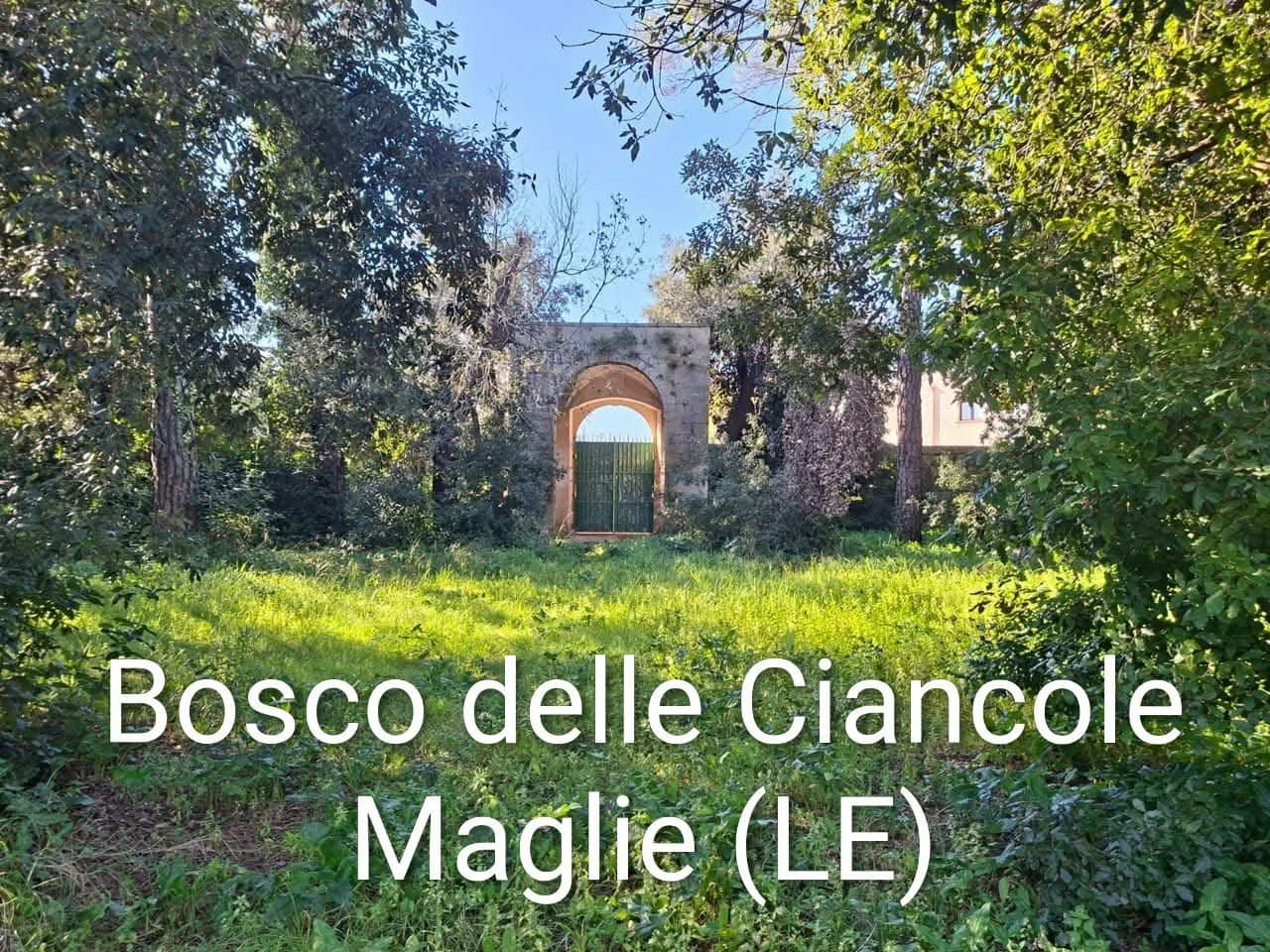 Giornate FAI Salento: i luoghi da visitare tra sabato 21 e domenica 22 marzo