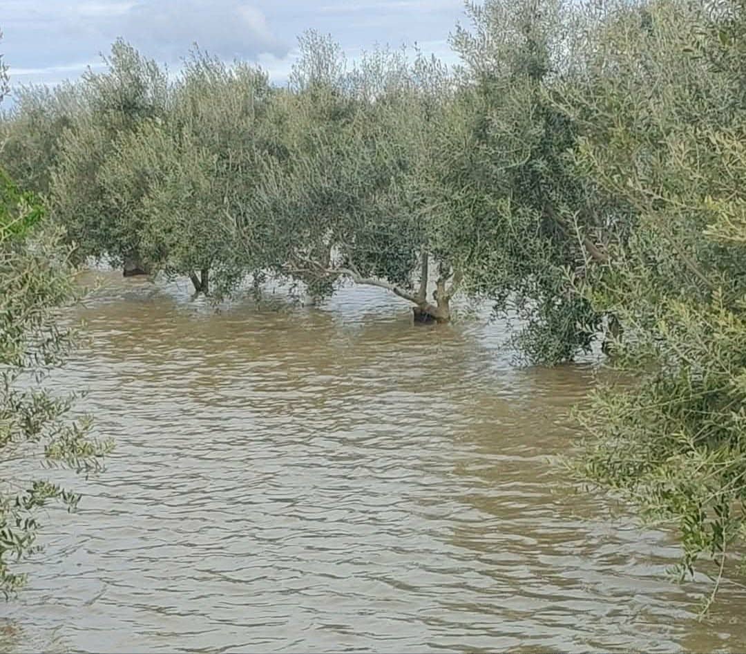 Stato di calamità richiesto dal comune di Nardò dopo i danni del maltempo