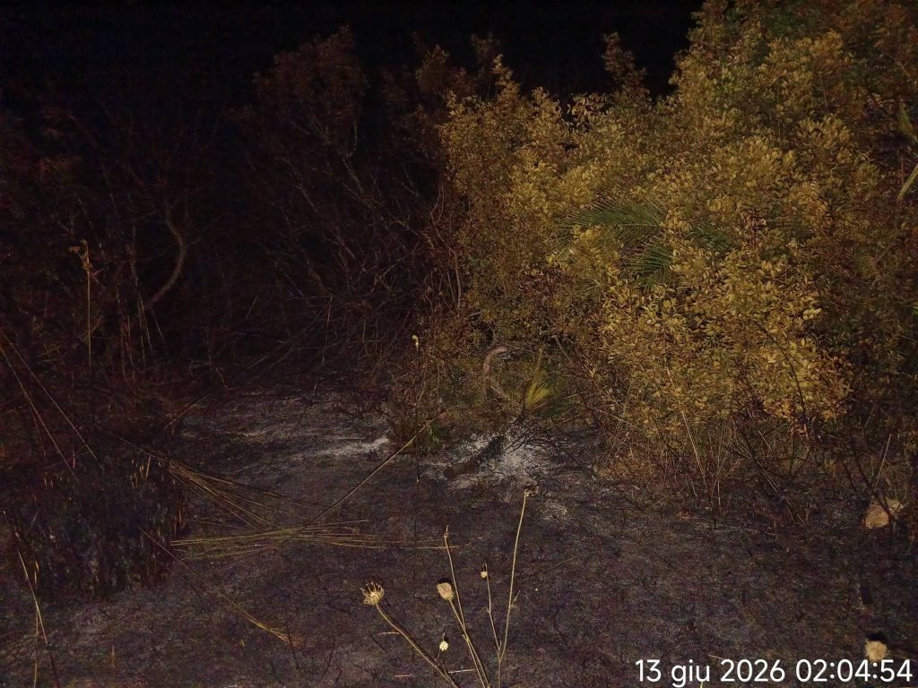 Punta Prosciutto in fiamme