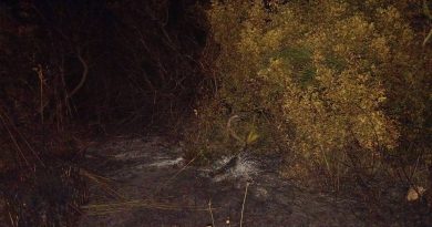 Punta Prosciutto in fiamme