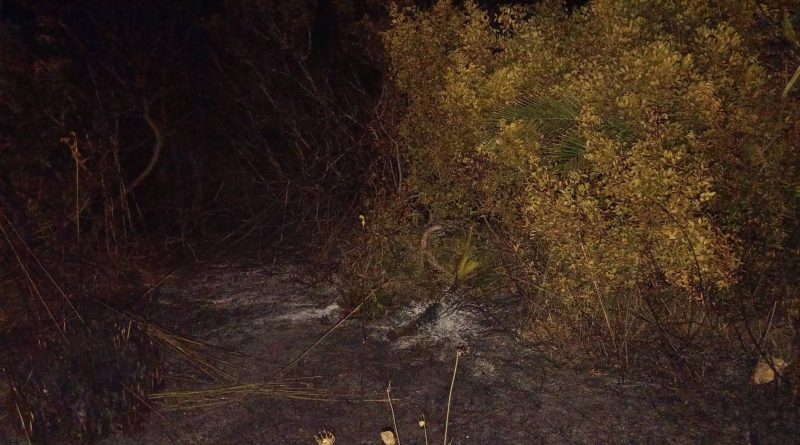 Punta Prosciutto in fiamme