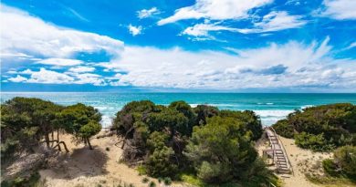 Ordinanza del Sindaco Schito per proteggere il cordone dunale di Porto Cesareo