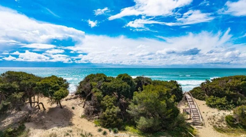 Ordinanza del Sindaco Schito per proteggere il cordone dunale di Porto Cesareo