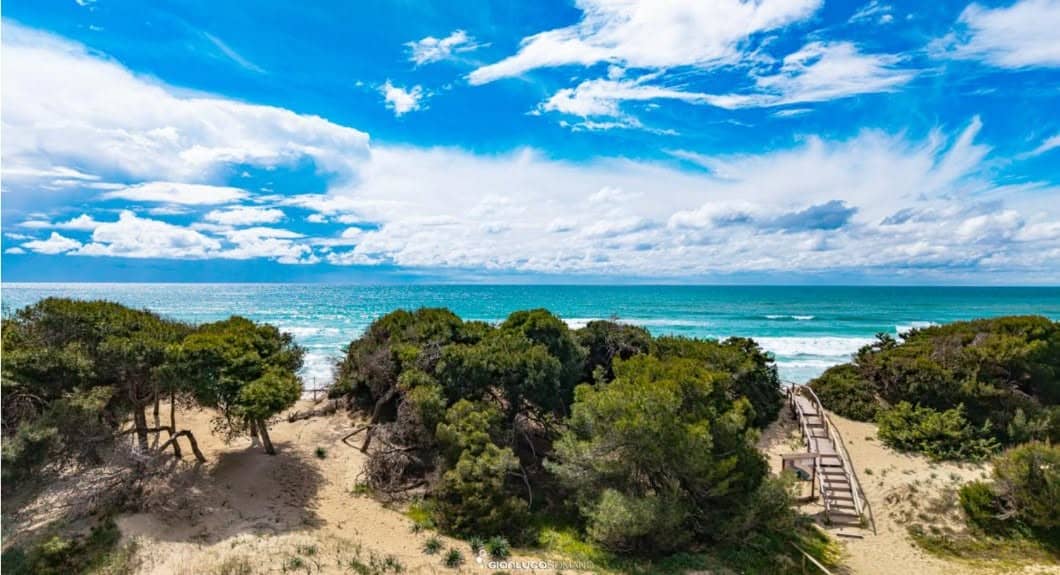 Ordinanza del Sindaco Schito a tutela del litorale di Porto Cesareo: rafforzamento dei controlli